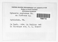 Image Associated With the Occurence